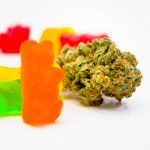 Your Gummy Guide to Bliss Choosing the Right THC Gummies for Every Mood